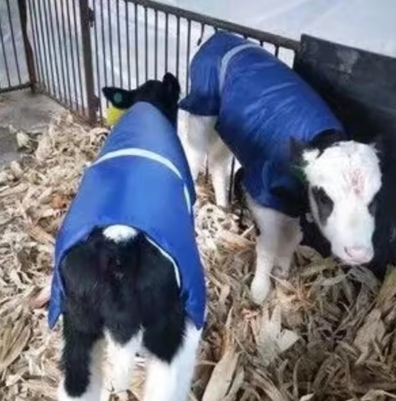 Windproof Calf Blanket