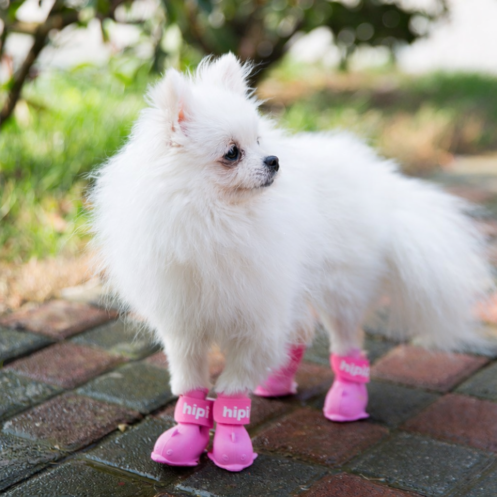 Non-Slip Waterproof Pet Boots