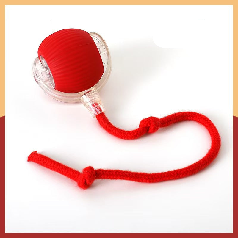 Cat Ball Toy with Rope