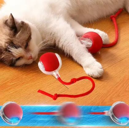 Cat Ball Toy with Rope